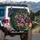 Fresh Figs Green Fig Leaves - Gourmet Kitchen Decor Gift Spare Tire Cover - 3