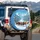 Wild Chestnut Palomino Horses Galloping Pristine Snow Mountains - Nature Explorer Gift Spare Tire Cover - 3