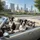 Realistic Pit Bull Dogs Driving Car Cityscape Adventure Road Trip Dog Lover Gift Spare Tire Cover - 6