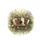 Antique Books Daisy Coreopsis Verbena Wildflower Meadow - Wildlife Lover Gift Spare Tire Cover - 4