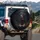 Lifelike Rottweiler Dog Black Tan Markings Alert Gaze - Pet Owner Gift for Dog Lovers Spare Tire Cover - 3