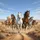 Six Diverse Horses Desert Landscape Wildlife Lover Gift for Horse Lovers Spare Tire Cover - 6