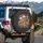 Diverse Woodland Mushrooms Red Cap Toadstools Ferns Forest Floor - Nature Lover Gift Spare Tire Cover - 3
