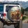 Highland Cow Family Scottish Landscape - Farmhouse Decor Gift for Cow Lover Spare Tire Cover - 3