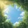 Sunlit Lush Green Forest Canopy Intertwining Branches Luminous Azure Sky - Nature Lover Gift Spare Tire Cover - 6