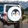 Penguin Face Winking Orange Beak Blush Snowflakes Icy Frosty - Penguin Lover Gift Spare Tire Cover - 3