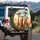 Giraffe Sunglasses Horse Tongue Savanna Foliage Tall Grass Wildlife Lover Gift Spare Tire Cover - 3