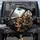 Yorkshire Terriers Driving Urban Interior - Dog Lover Vehicle Decor Gift Spare Tire Cover - 1