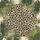 Leopard Spots Tropical Foliage Classic Rosettes - Wildlife Lover Gift Spare Tire Cover - 6