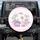 Stegosaurus Pterodactyl Long Neck Baby Dinosaurs Palm Trees Hearts - Kids Dino Gift Spare Tire Cover - 1