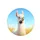 Smiling White Llama Pink Ears Golden Grass Blue Sky - Wildlife Lover Gift for Llama Fan Spare Tire Cover - 4