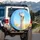 Smiling White Llama Pink Ears Golden Grass Blue Sky - Wildlife Lover Gift for Llama Fan Spare Tire Cover - 3