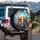 Exhilarated Adventure Cats - Adventure Lover Gift for Cat Owners Spare Tire Cover - 3