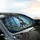 Cartoon Donkey Forest Firefly Glow - Car Interior Upgrade for Donkey Lovers Car Sunshade - 6