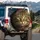Tabby Cat Green Eyes Dollar Sign Pupils - Financial Prosperity Gift for Cat Lovers Spare Tire Cover - 3
