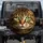 Tabby Cat Green Eyes Dollar Sign Pupils - Financial Prosperity Gift for Cat Lovers Spare Tire Cover - 1