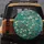 Almond Blossoms Flowering Tree Gnarled Branches - Home Decor Gift for Nature Lover Spare Tire Cover - 5