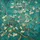 Almond Blossoms Flowering Tree Gnarled Branches - Home Decor Gift for Nature Lover Spare Tire Cover - 6