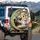 Siamese Ragdoll Cats Driving Luxury Vehicle Interior - Cat Lover Gift for Car Owners Spare Tire Cover - 3