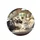 Siamese Ragdoll Cats Driving Luxury Vehicle Interior - Cat Lover Gift for Car Owners Spare Tire Cover - 4