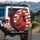Northern Cardinal American Flag Gold Stars - Independence Day Gift for Bird Lovers Spare Tire Cover - 3