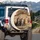 Fluffy Tabby Kittens Vintage Sofa - Cozy Living Room Cat Lover Gift Spare Tire Cover - 3