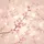 Prominent Cherry Blossoms Branch Numerous Flowers Luminous Atmospheric Bokeh Glows - Road Trip Decor Spare Tire Cover - 6
