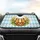 duiyfppz/products/69fef8a677bc2f81de94db3d/gallery/IJQ2JGspma