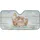 duiyfppz/products/69ff042248d9186b7df57d82/gallery/C8qJ17Q55U