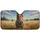 duiyfppz/products/69ff0cba77bc2f22b4950956/gallery/YvtQaQdwVp