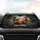 duiyfppz/products/69ff13084d59b3f9466b221b/gallery/IheQ__nOCN
