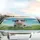 Stylized 3D Cartoon Cow Wildflower Meadow Car Interior Upgrade for Cow Lover Car Sunshade - 5