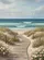 Ocean Boardwalk Dunes Beach Flowers - Coastal Home Decor Beach Lover Gift Garden Flag - 6