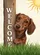 duiyfppz/products/69ff42d6b506cf136bdea6d8/gallery/3LFqFX_S0q