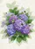 duiyfppz/products/69ff4a9c77bc2f68e695bd80/gallery/04Ql_0jcZ0