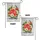 duiyfppz/products/69ff54ef77bc2f602895cc22/gallery/DNXJZ6xbAp