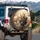 Mischievous Expressive Cats Warm Tones Textured Scene - Cat Lover Gift for Cozy Adventure Spare Tire Cover - 3