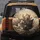 Mischievous Expressive Cats Warm Tones Textured Scene - Cat Lover Gift for Cozy Adventure Spare Tire Cover - 5