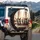 Tan White Brown Chihuahua Dogs Blue Collars Interior Setting - Everyday Vehicle Decor Spare Tire Cover - 3