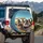 Chimpanzees Orange Sunglasses Tropical Shirts Vintage Convertible Road Trip Travel Gift Spare Tire Cover - 3