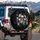 High Contrast Realistic Human Skulls White Flowers Dark Botanical Foliage - Unique Vehicle Accessory Spare Tire Cover - 3