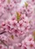 duiyfppz/products/69ff5a0677bc2f586195f975/gallery/1dso8GxFy8