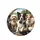 Five Happy Diverse Dogs Modern Vehicle Road Trip - Dog Lover Gift Spare Tire Cover - 4