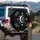 Silver Crescent Moon Stars Botanical Leaves Celestial Night Sky Home Decor Gift Spare Tire Cover - 3