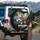 Ginger Grey Screaming Tabby Cats Steering Wheel Car Cabin Road Scene - Cat Lover Gift Spare Tire Cover - 3