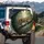 Leopard Jungle Tree Branch Tropical Foliage - Wildlife Lover Gift Spare Tire Cover - 3