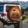 Skeletal Figures Guitar Steering Wheel - Road Trip Journey Music Lover Gift Spare Tire Cover - 3