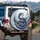 Eastern Dragon Luminous White Head Dark Blue Body Coiling Clouds Calligraphy - Travel Essentials Spare Tire Cover - 3