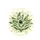 Lily of the Valley Berries Green Leaves Floral - Nature Lover Home Decor Gift Spare Tire Cover - 4