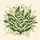 Lily of the Valley Berries Green Leaves Floral - Nature Lover Home Decor Gift Spare Tire Cover - 6